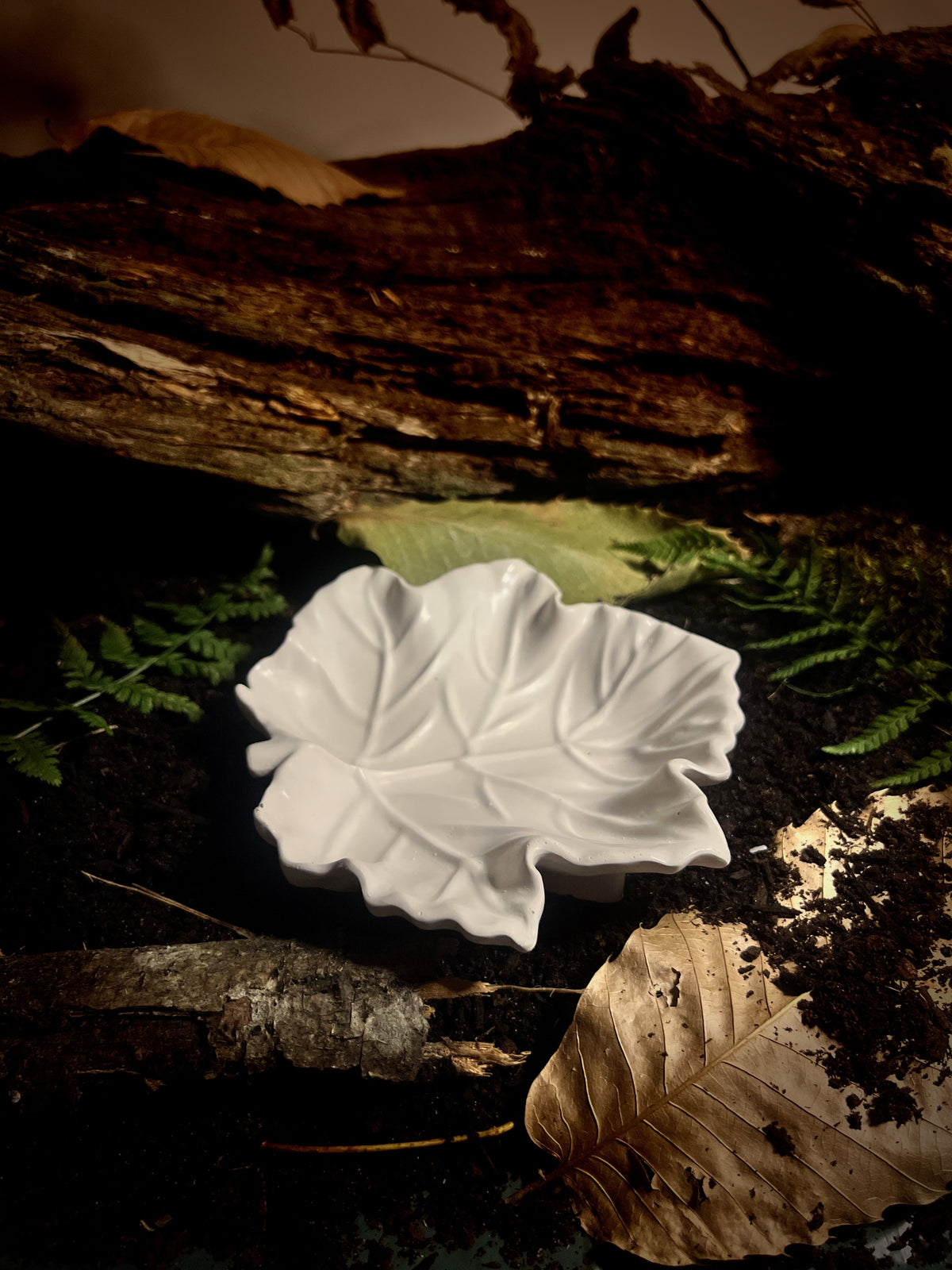 La Feuille d'Automne