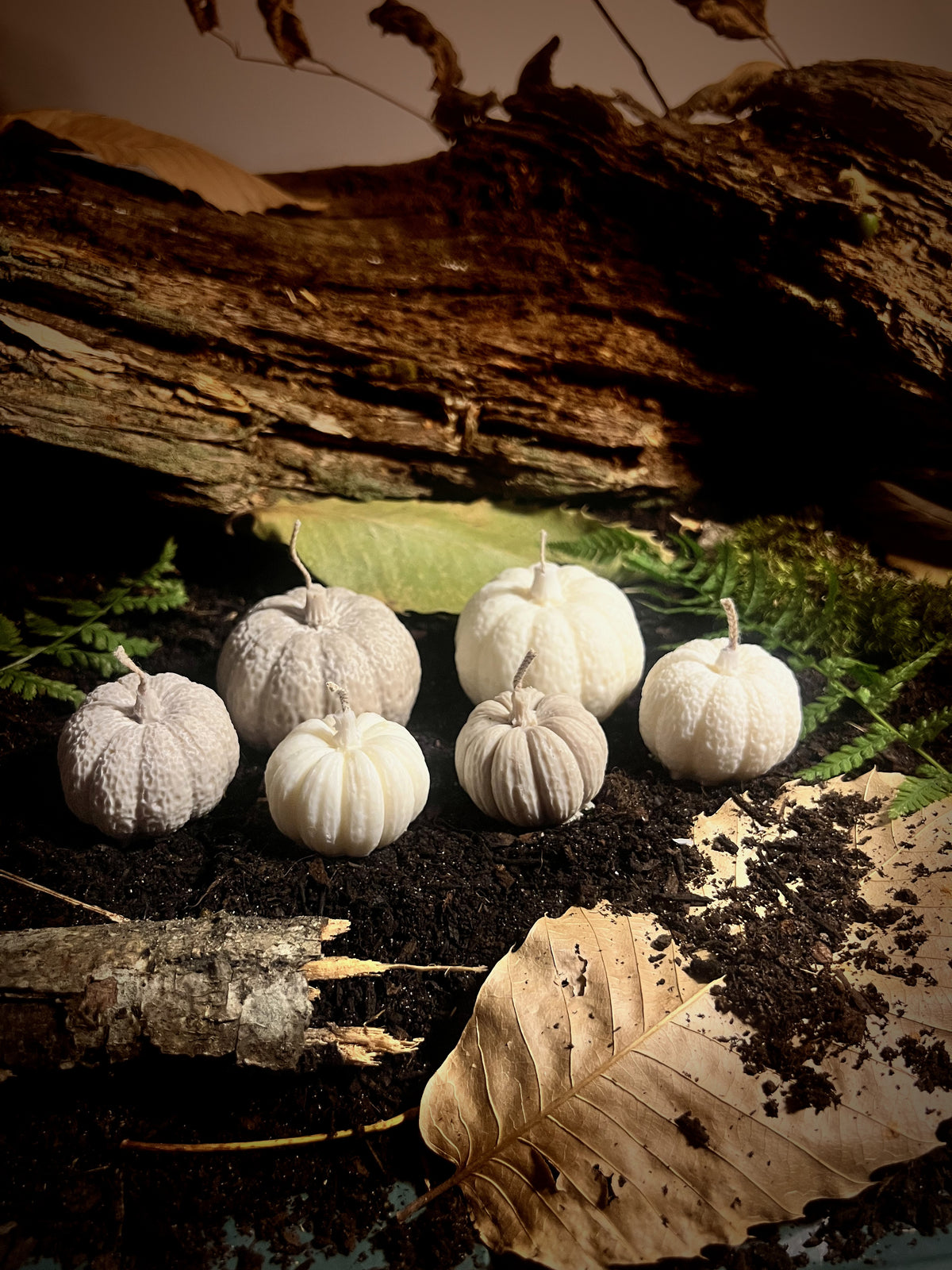 Les Récoltes d'Automne