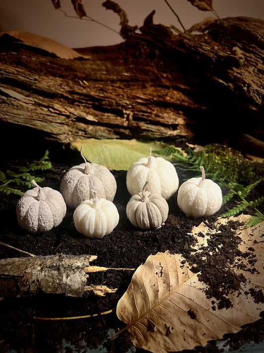 Les Récoltes d'Automne