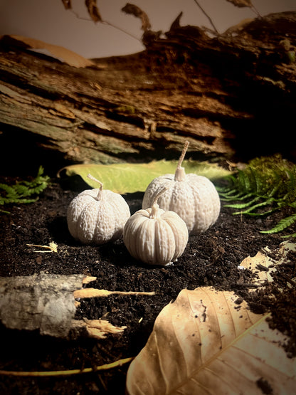 Les Récoltes d'Automne