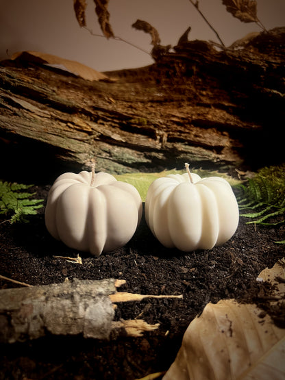 La Courge enchantée