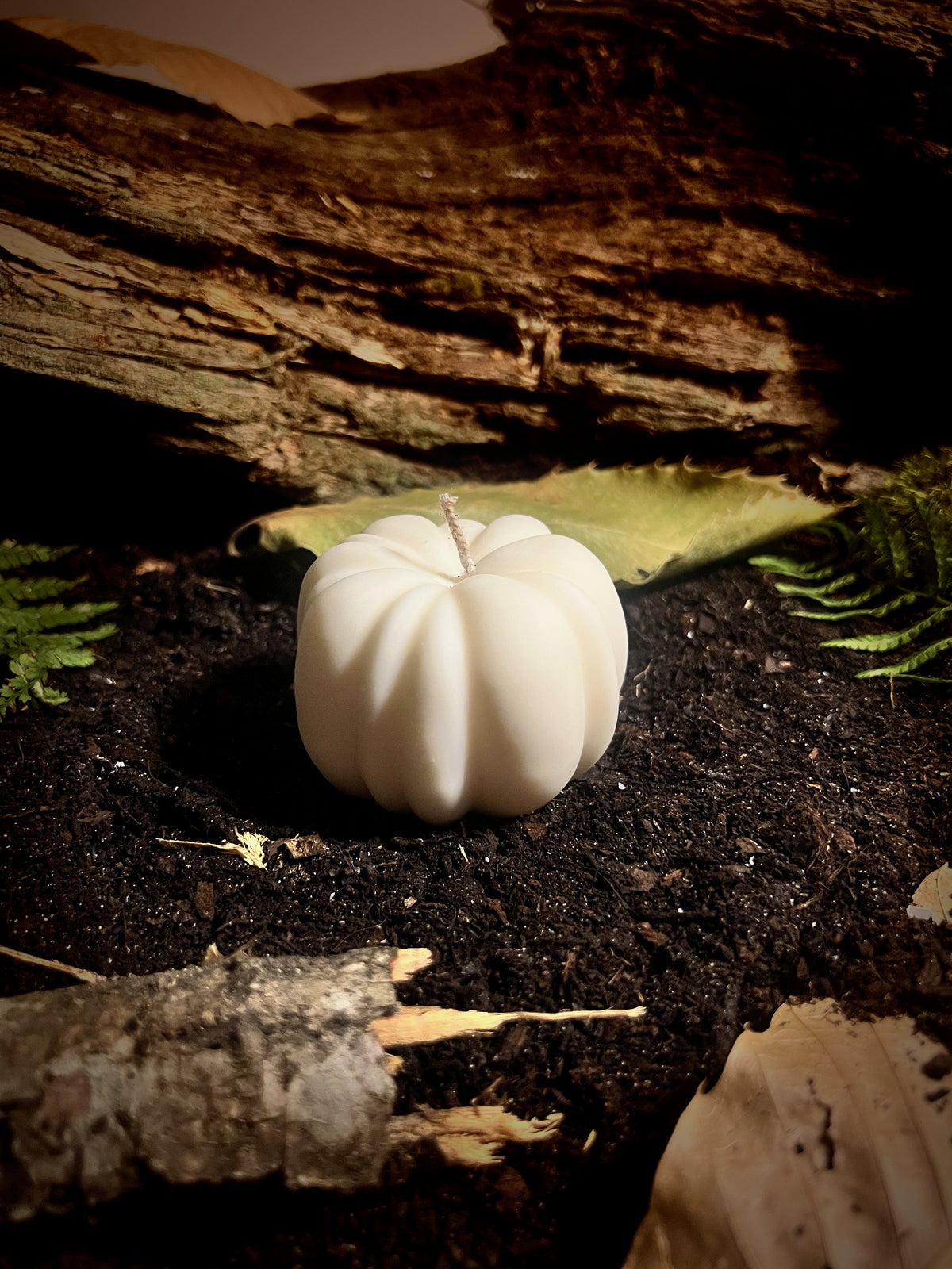 La Courge enchantée