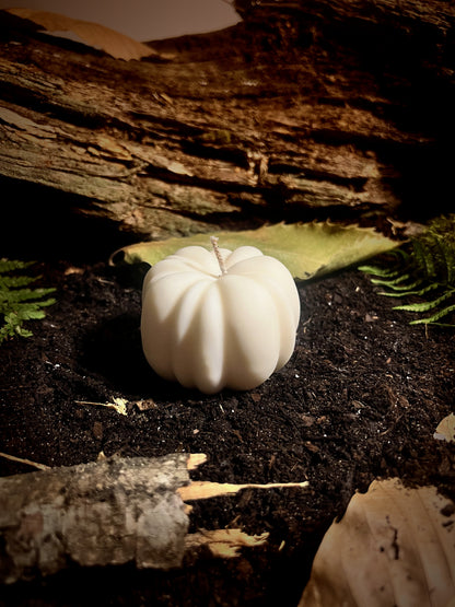 La Courge enchantée