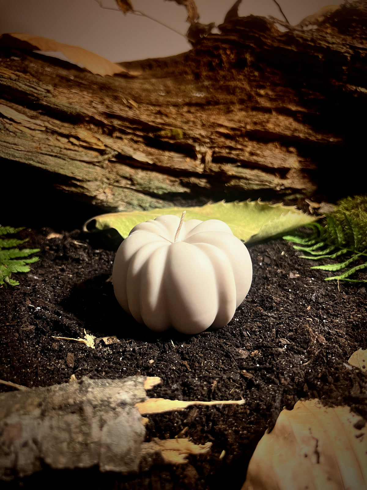 La Courge enchantée