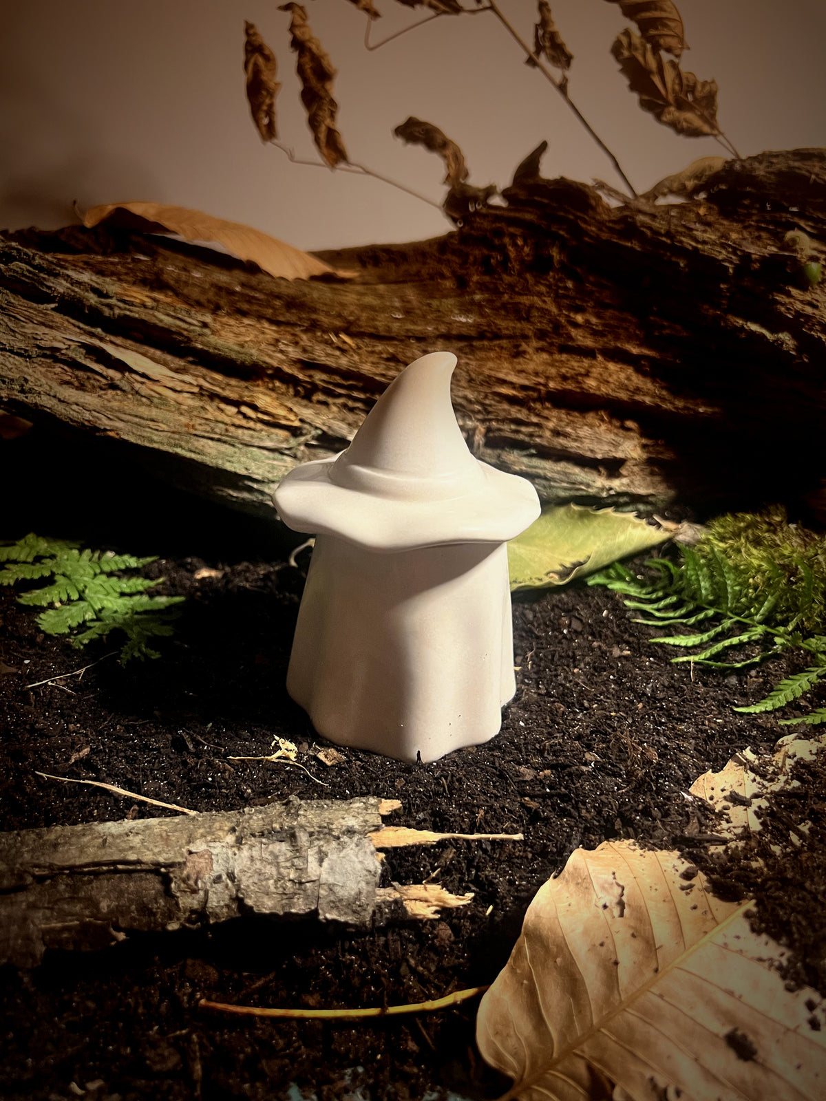 Le Pot de Sorcière