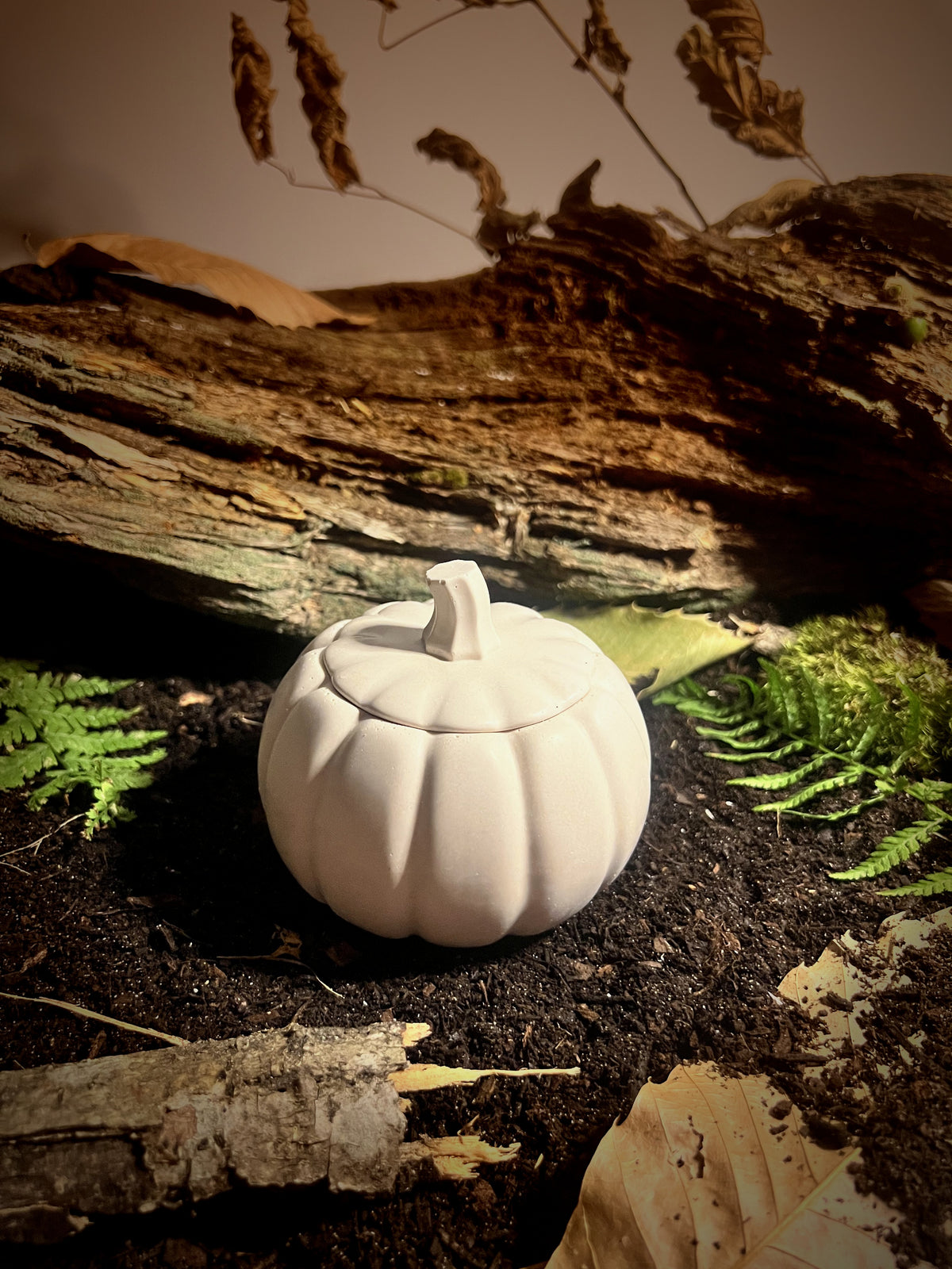 La Citrouille d'Automne