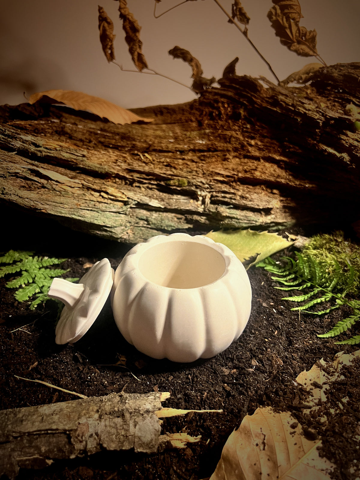 La Citrouille d'Automne