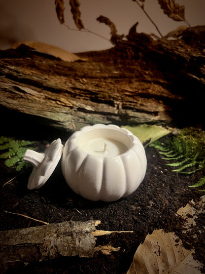 La Citrouille d'Automne