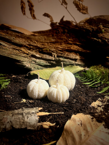 Les Récoltes d'Automne